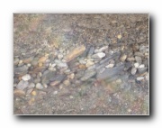 Click to enlarge this image